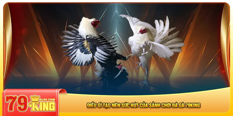 Điều gì tạo nên sức hút của sảnh chơi đá gà 79king