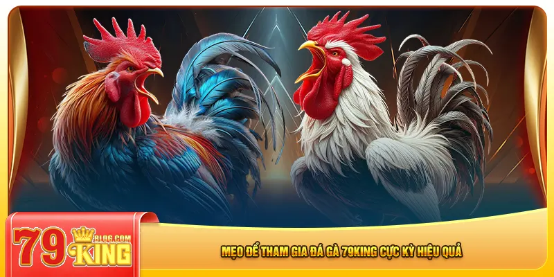 Mẹo để tham gia đá gà 79king cực kỳ hiệu quả